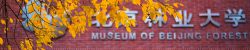 北京林业大学
